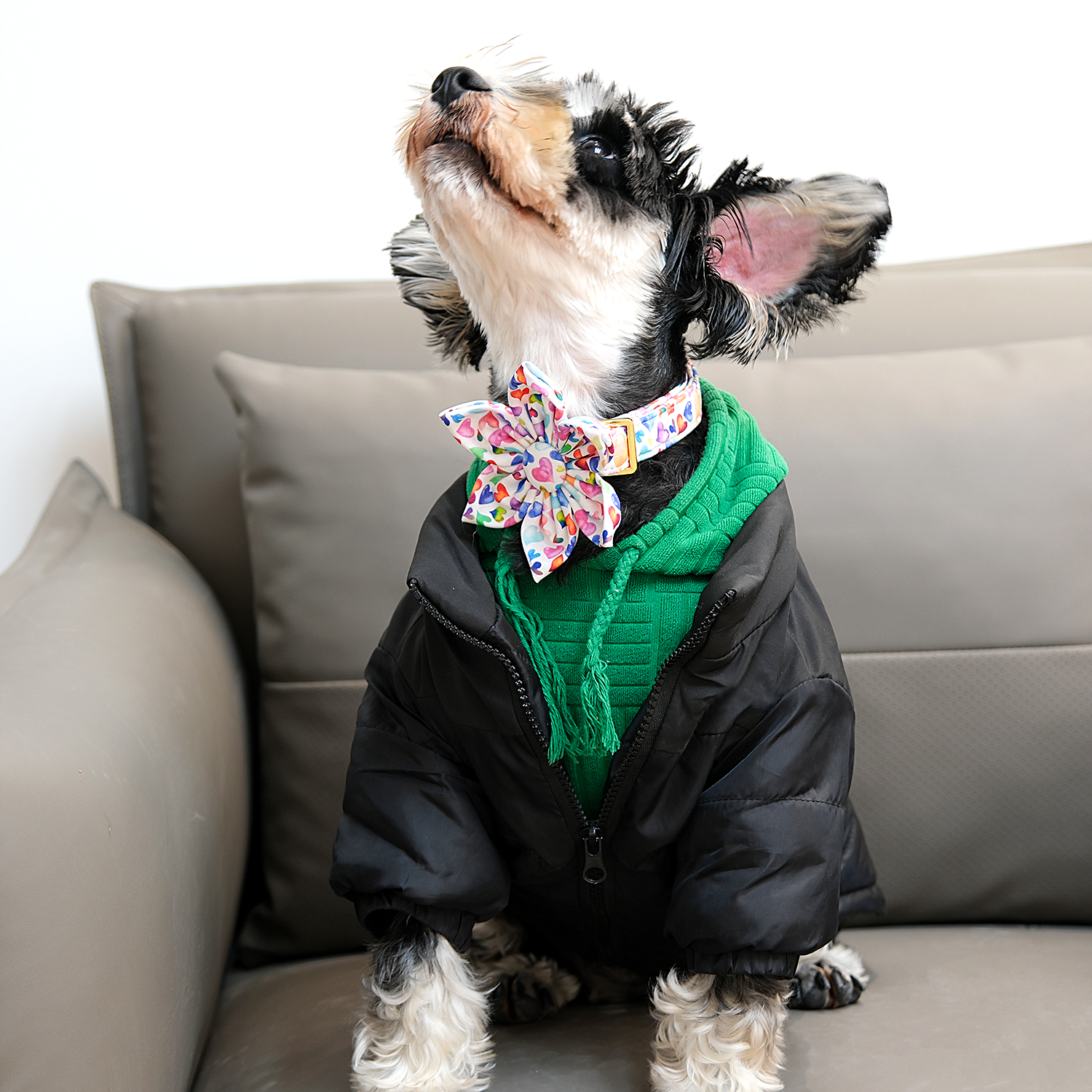 Valentine's Day Dog Collar with Flower for Female Dog