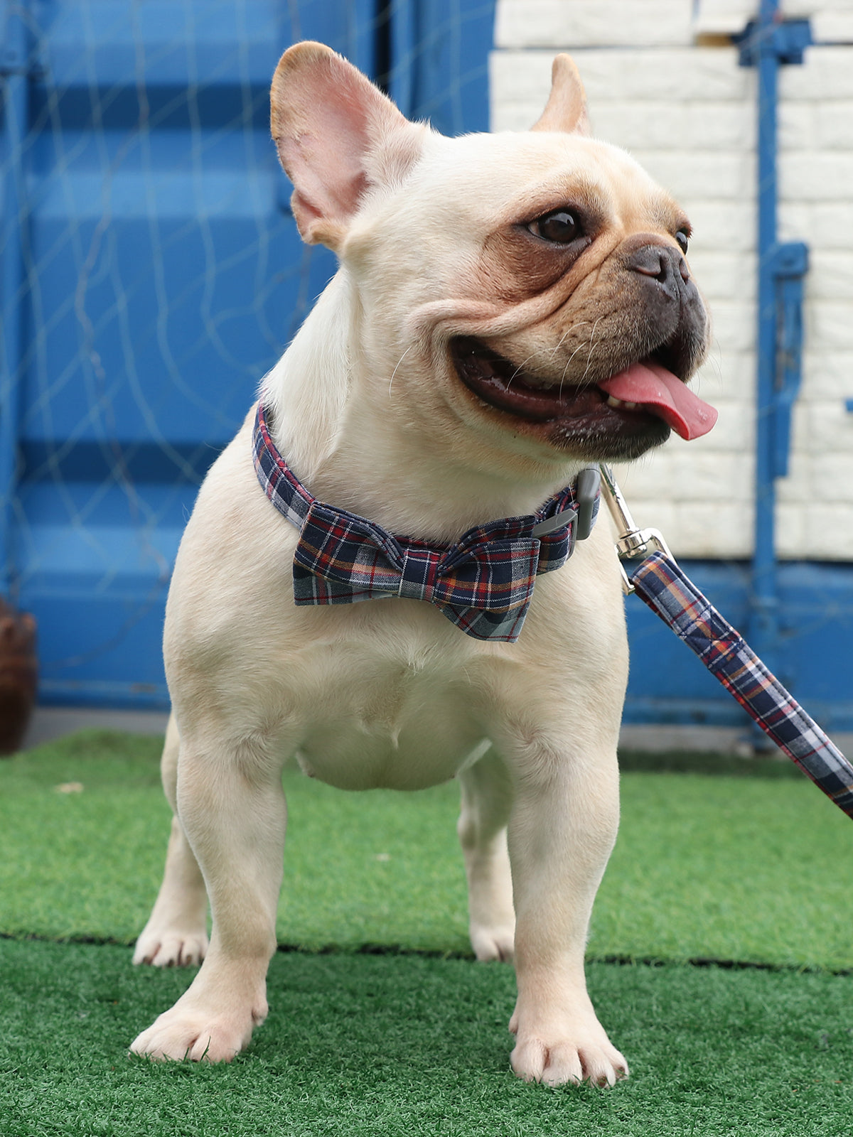DarkBlue Dog Leash for Small Medium Large Dog Matching Collar