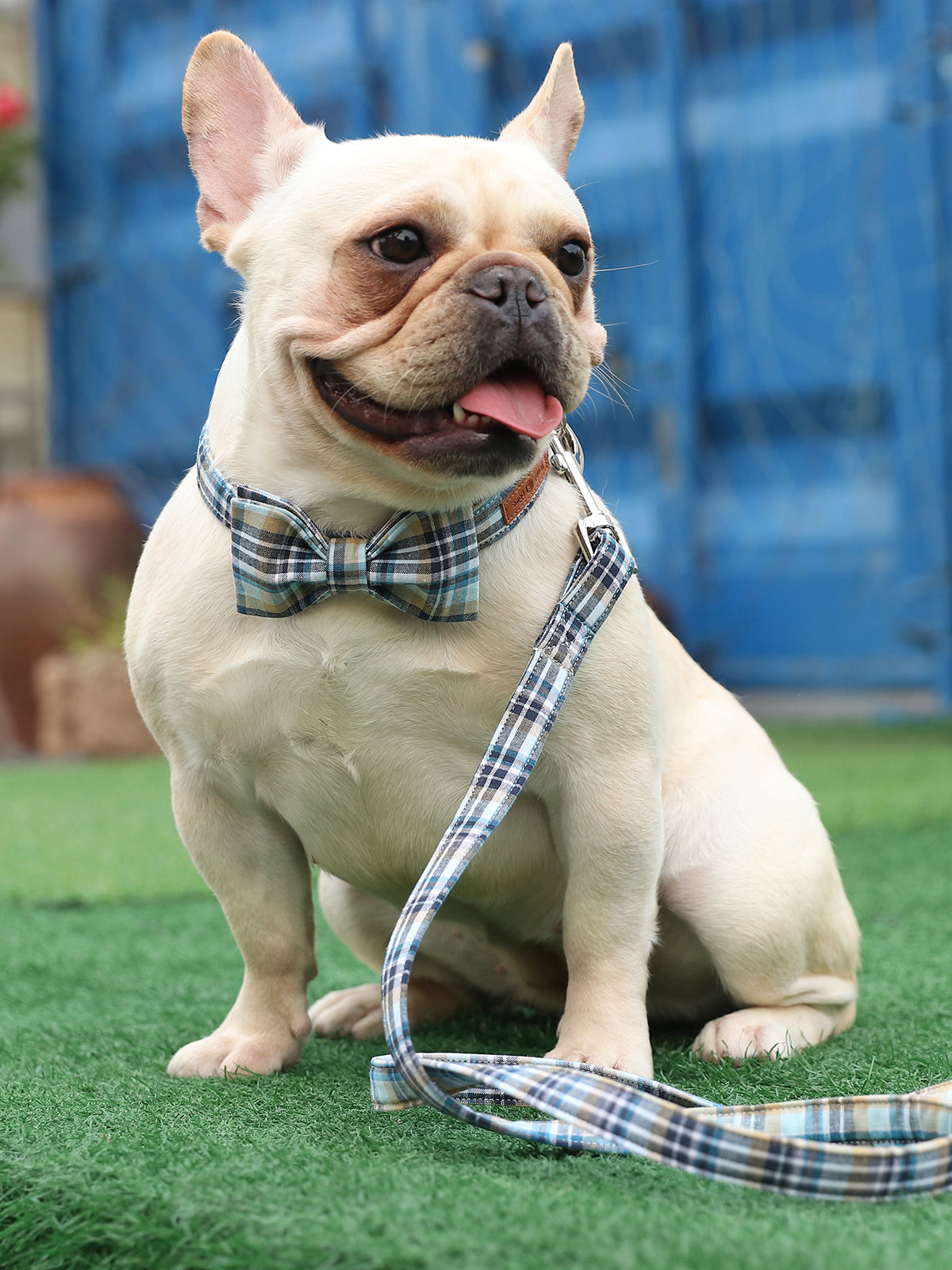 LightBlue Dog Leash for Small Medium Large Dog Matching Collar