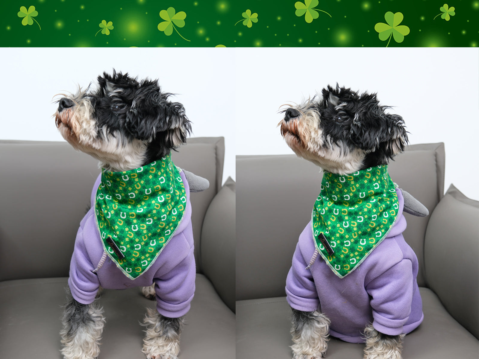 St. Patrick's Day Dog Bandana Handkerchief Scarf for Male Female Dog, Green Clover