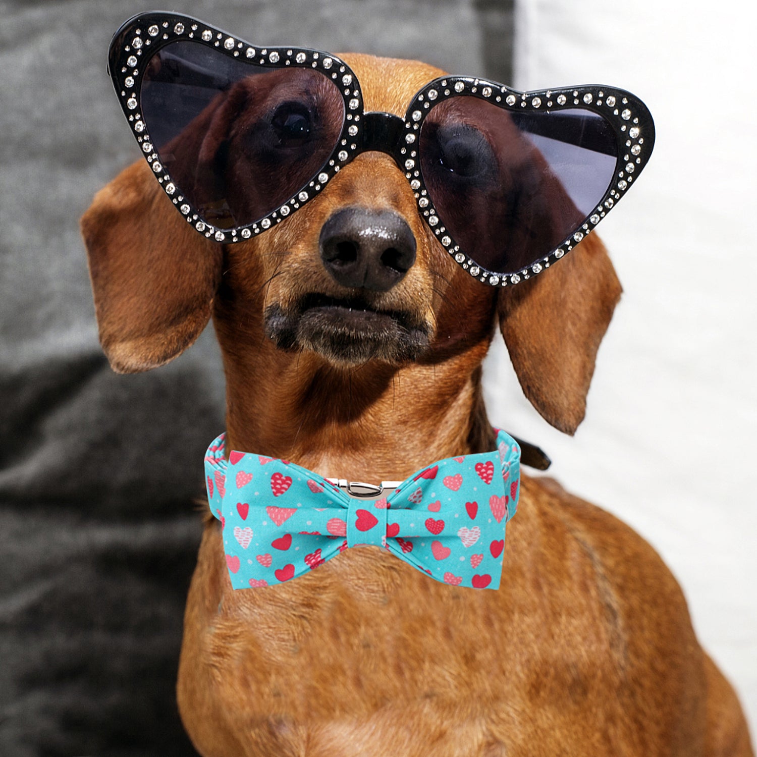 Valentine's Day Bowtie Dog Collar with Metal Buckle for Male Female Dogs