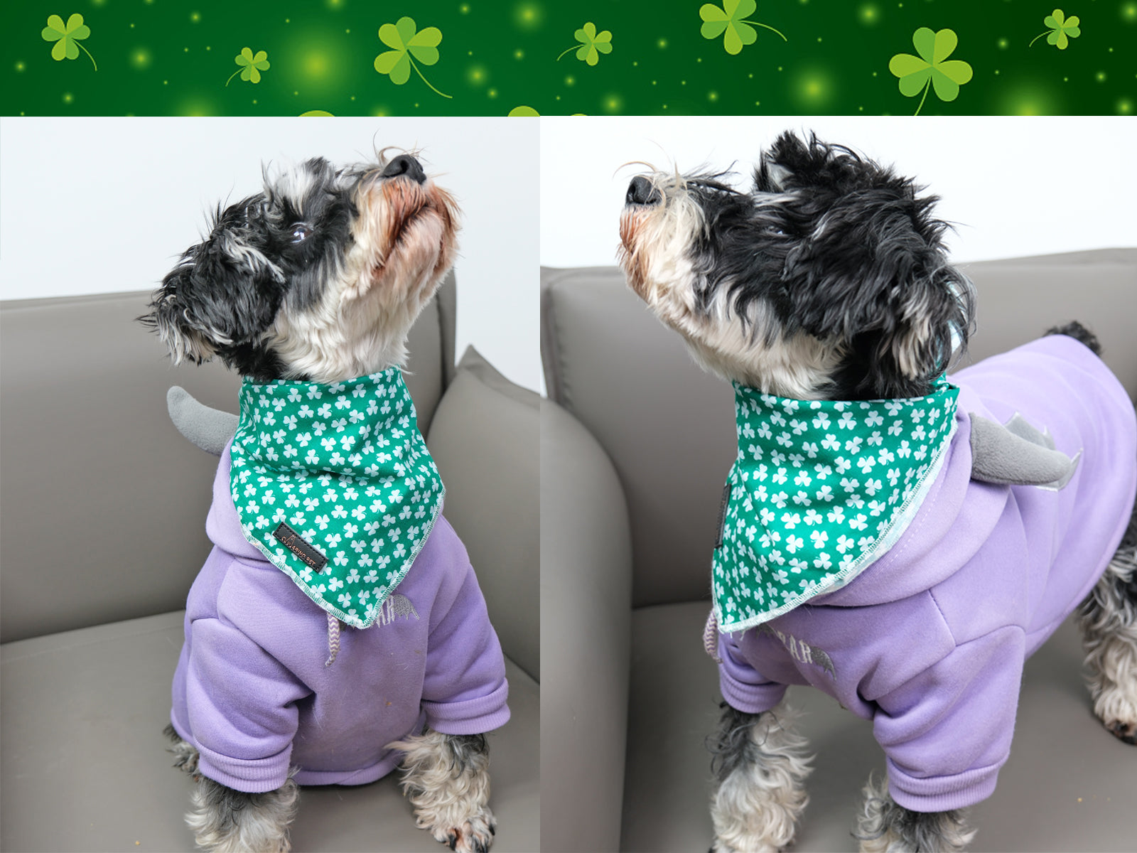 St. Patrick's Day Dog Bandana Handkerchief Scarf for Male Female Dog, Green Clover