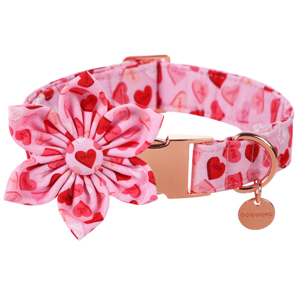 Valentine's Dog Collar with Flower for Female Dog