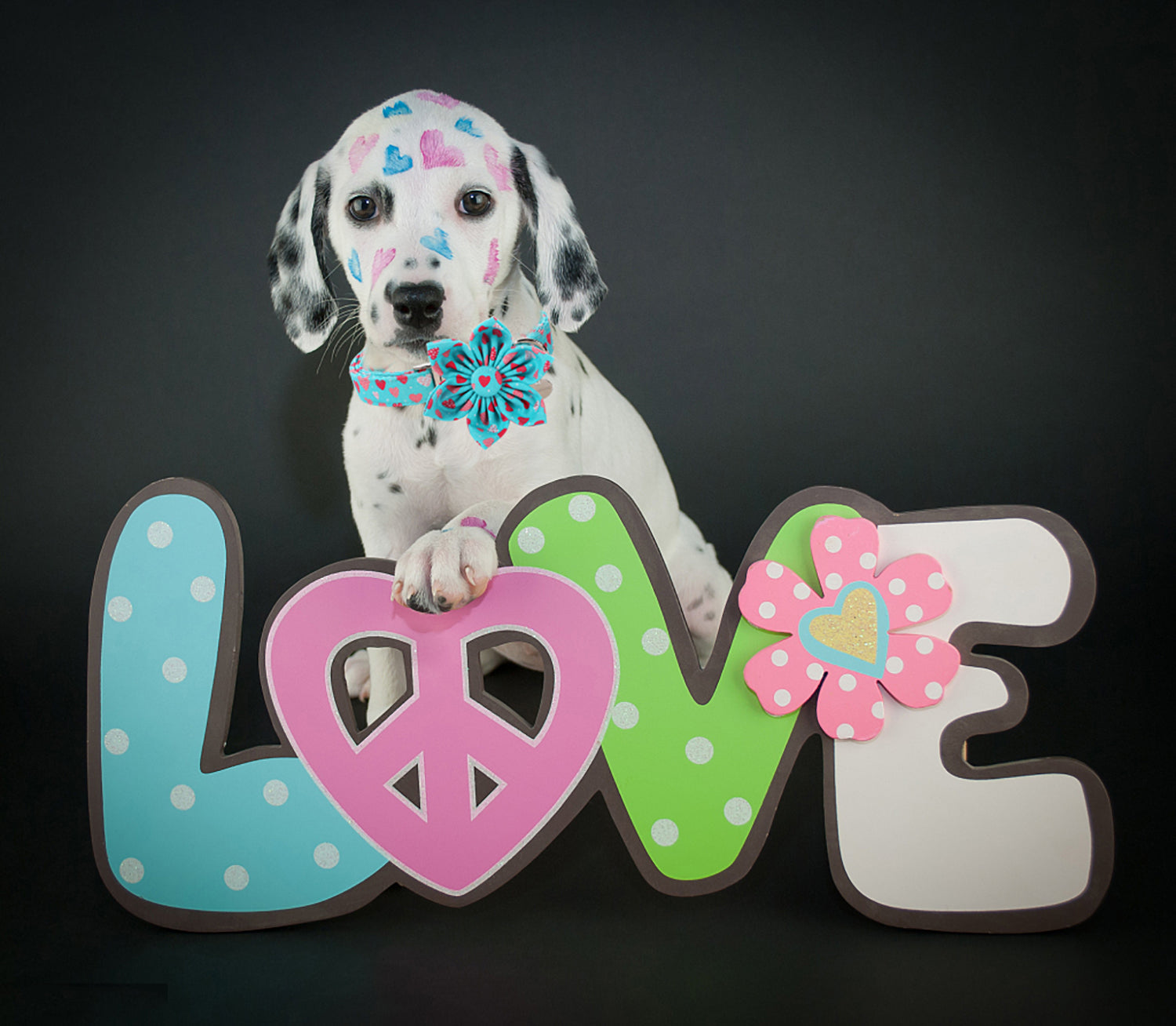 Valentine's Day Dog Collar with Flower for Female Dog