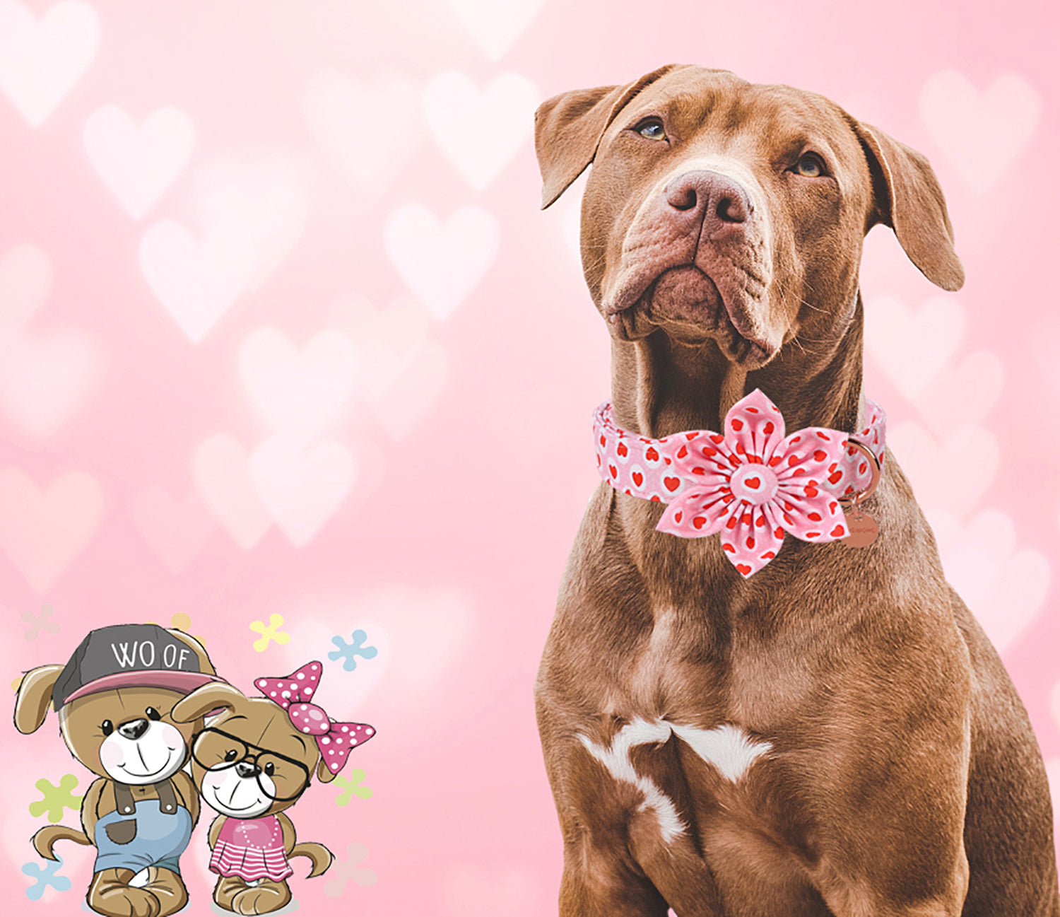 Valentine's Dog Collar with Flower for Female Dog