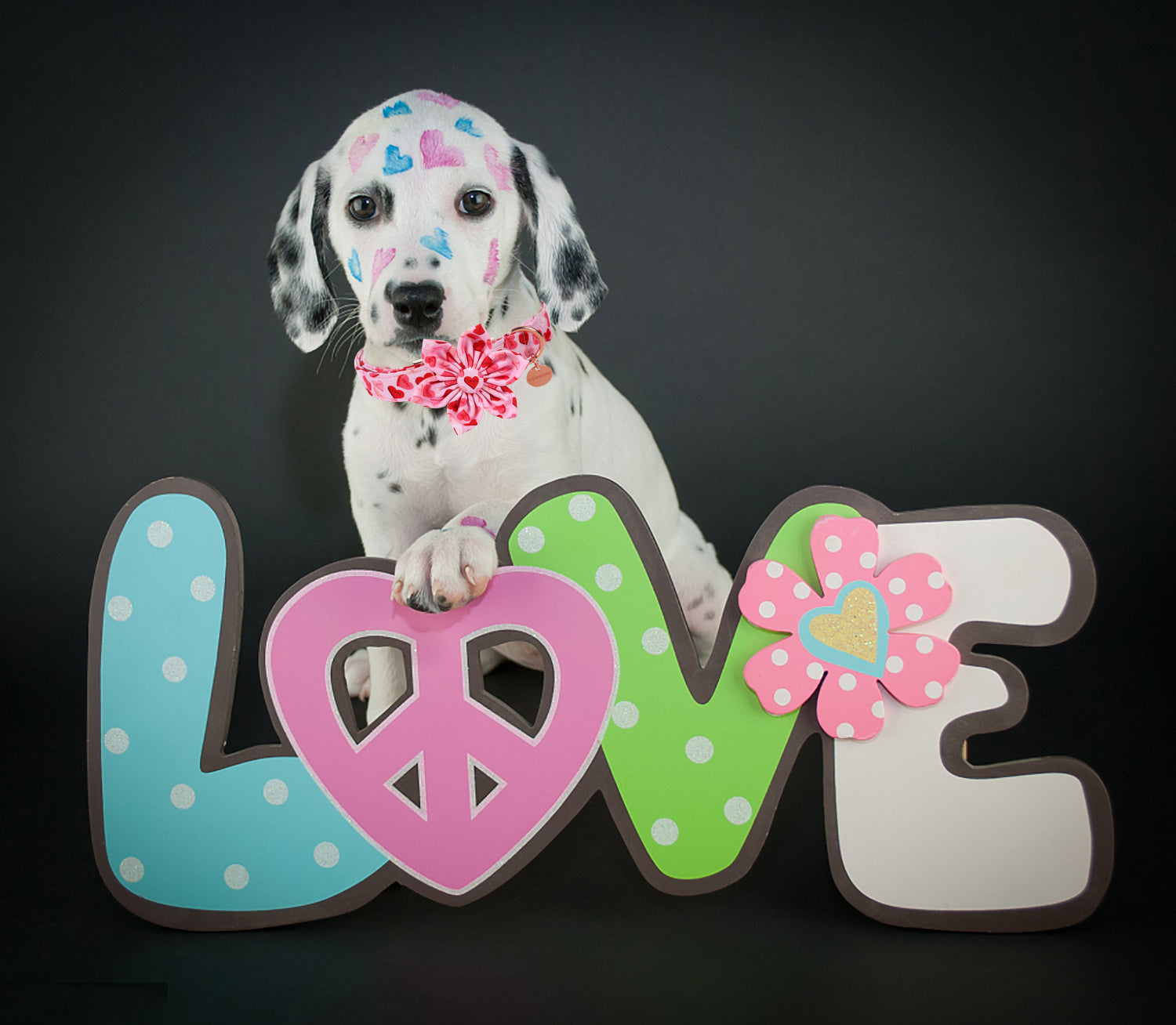Valentine's Dog Collar with Flower for Female Dog