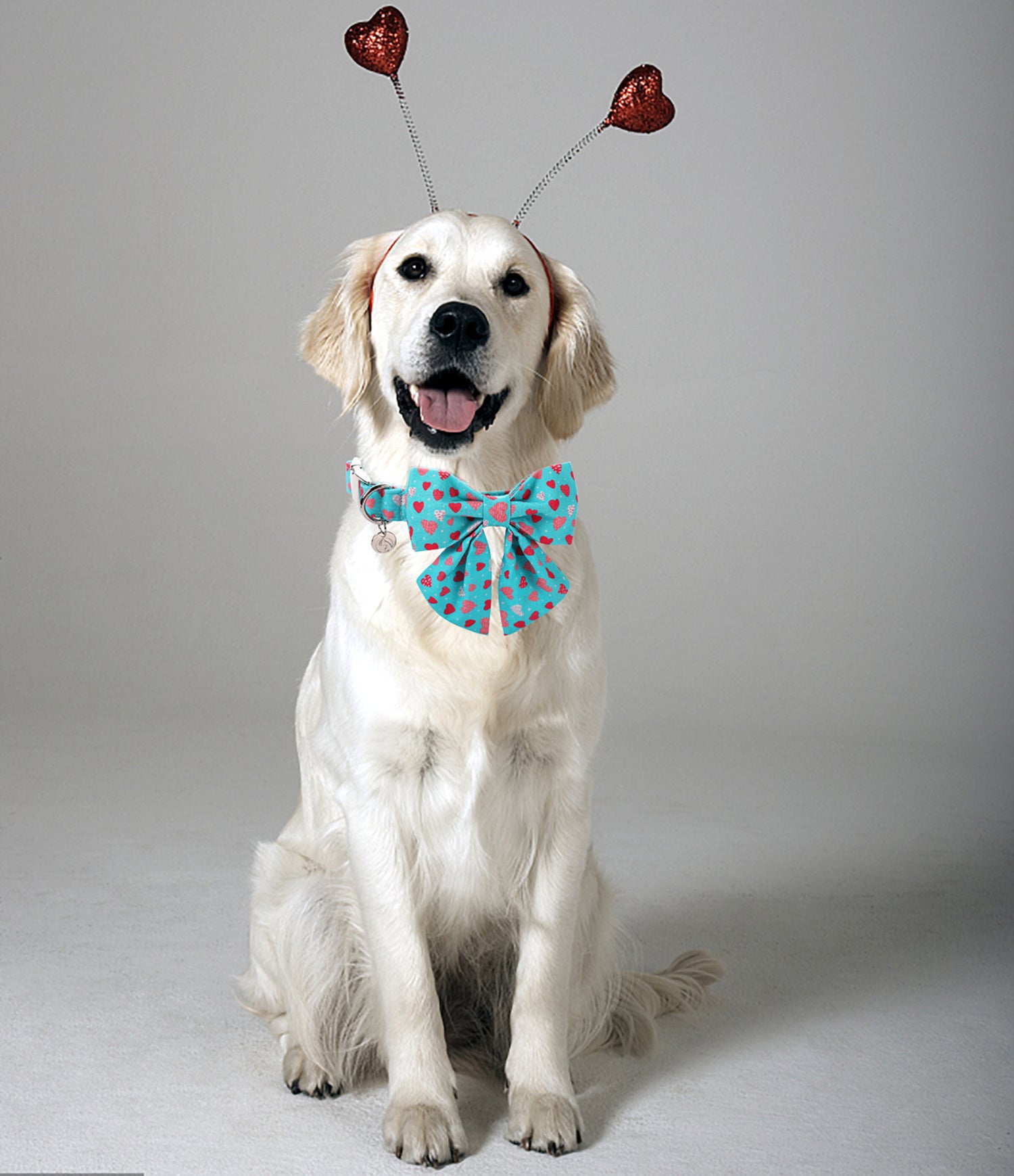 Valentine's Day Dog Collar with Sailor Bow for Girl