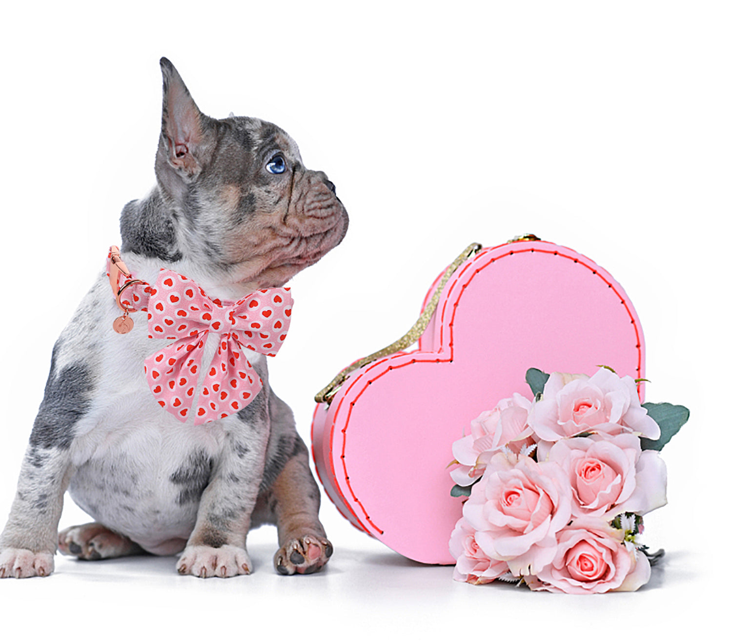Valentine's Heart Dog Collar with Sailor Bow for Girl