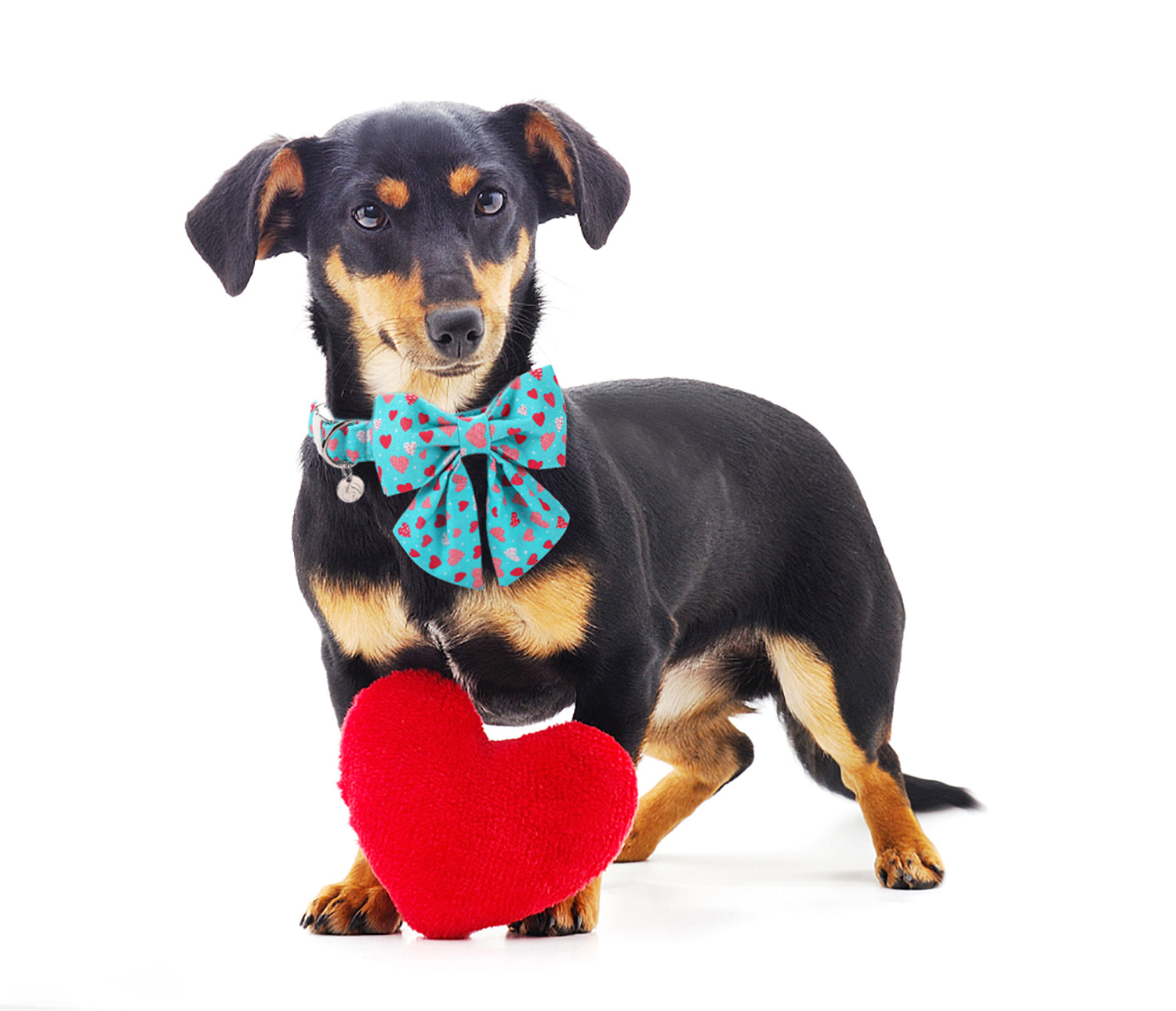 Valentine's Day Dog Collar with Sailor Bow for Girl