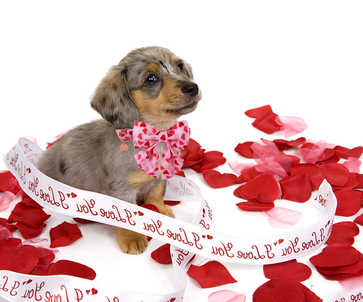 Valentine's Heart Dog Collar with Sailor Bow for Girl