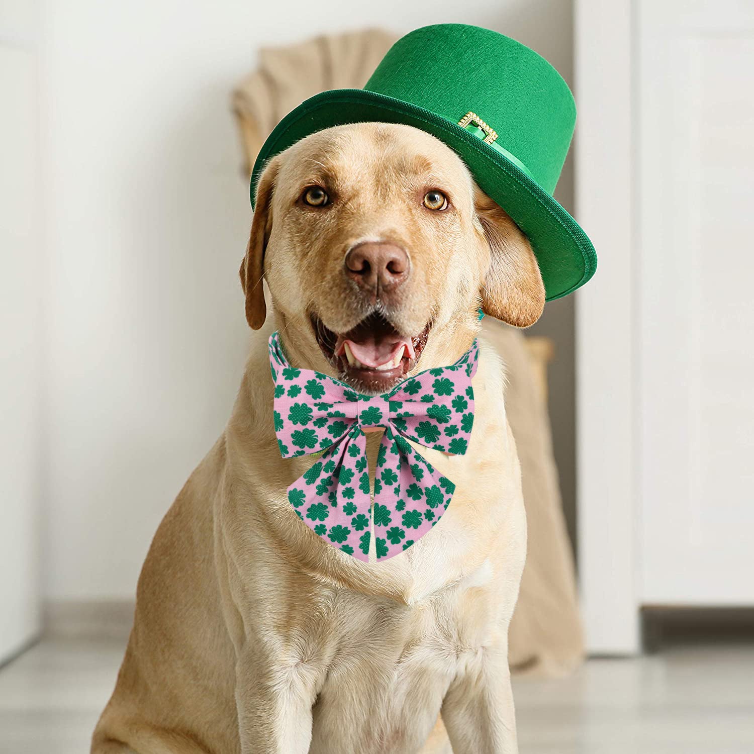 St Patrick's Day Dog Collar with Sailor Bow for Girl