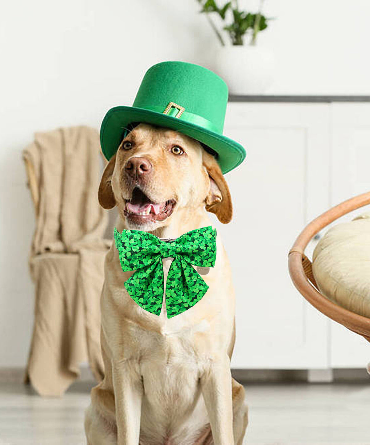 St Patrick's Day Dog Collar with Sailor Bow for Girl