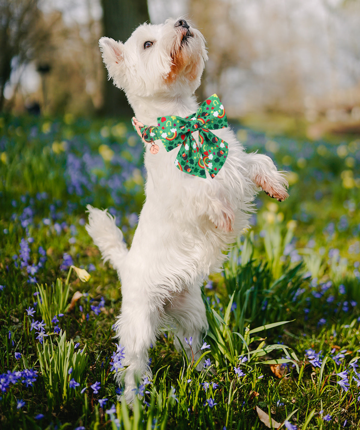 St Patrick's Day Dog Collar with Sailor Bow for Girl