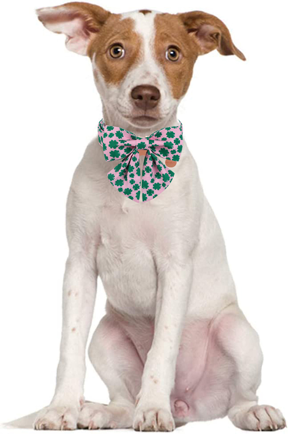St Patrick's Day Dog Collar with Sailor Bow for Girl