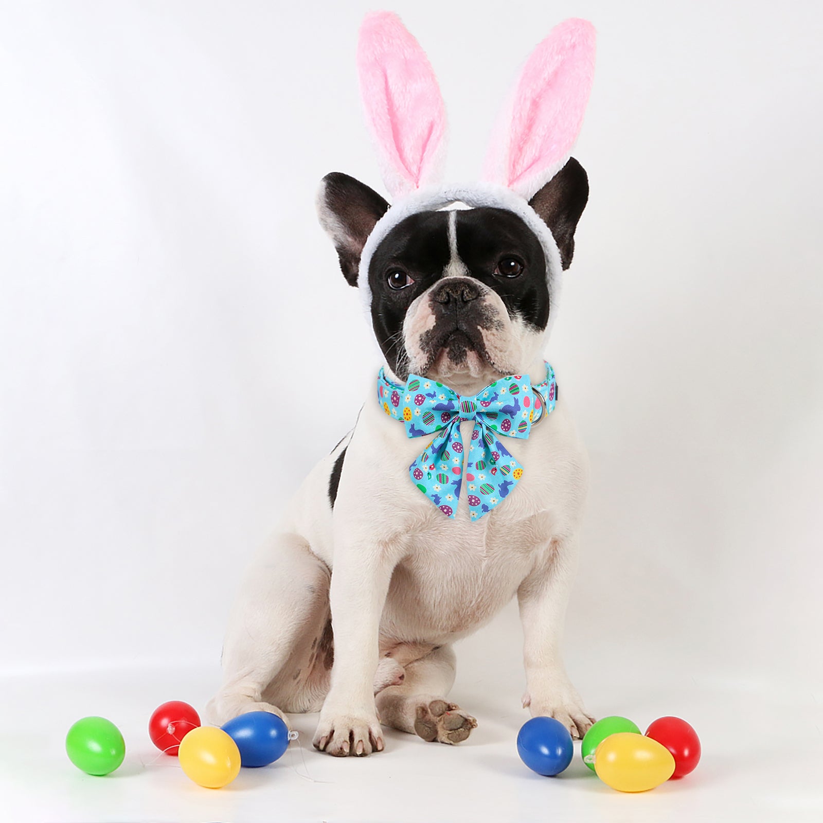 Easter Day Dog Collar with Sailor Bow for Girl