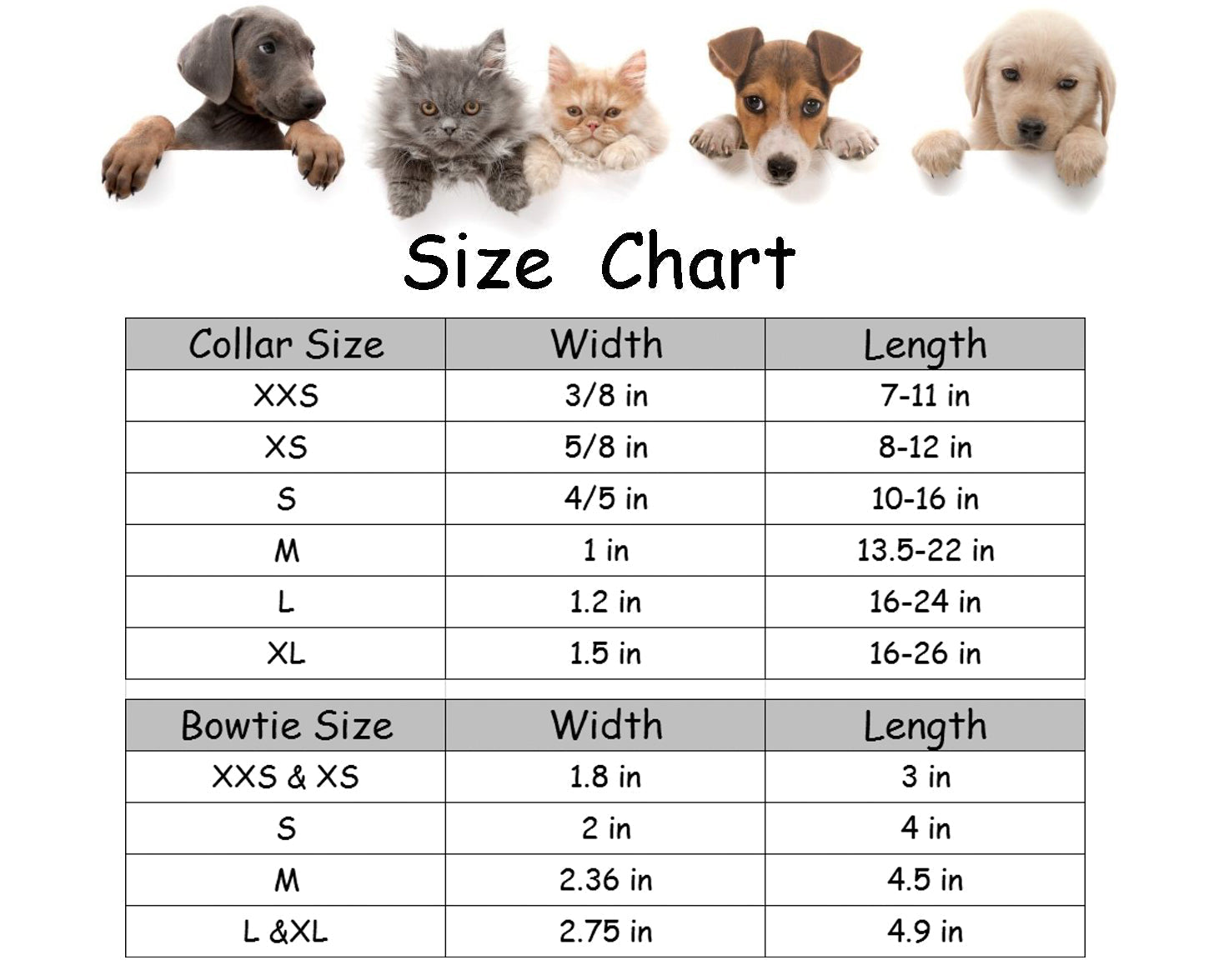 Valentine's Day Bowtie Dog Collar with Metal Buckle for Male Female Dogs
