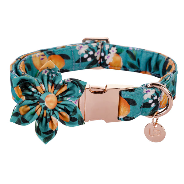 Peach Dog Collar with Flower for Female Dog