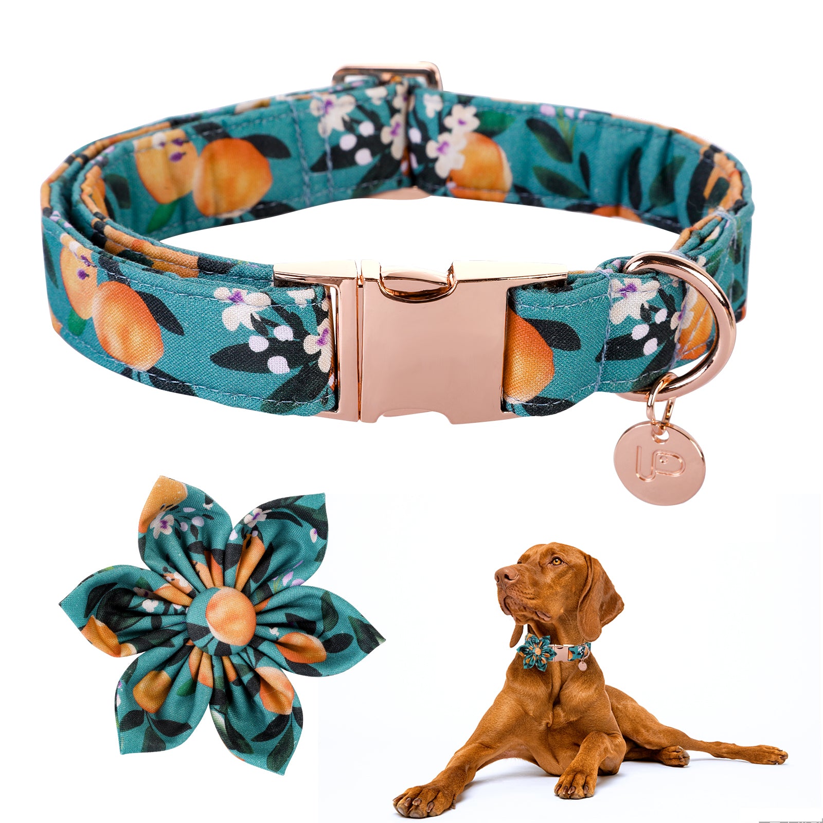 Peach Dog Collar with Flower for Female Dog