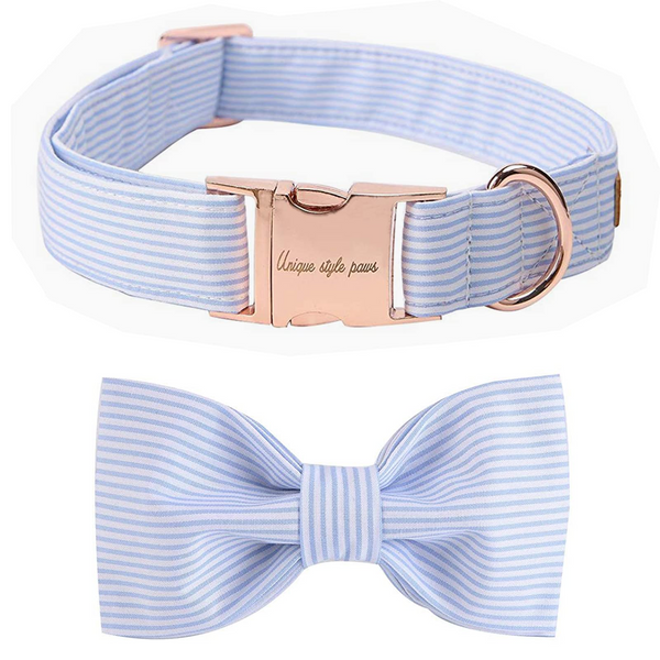 Bowtie Dog Collar with Metal Buckle for Girl or Boy
