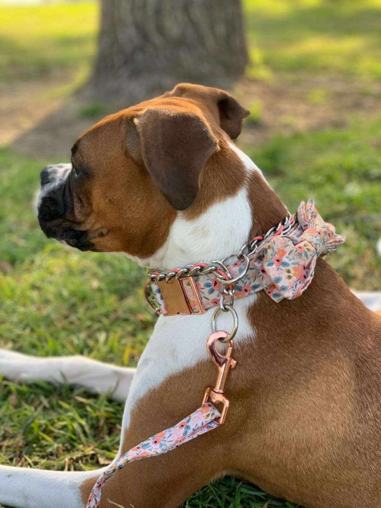 Pink Flower Dog Collar with Bowtie for Girl