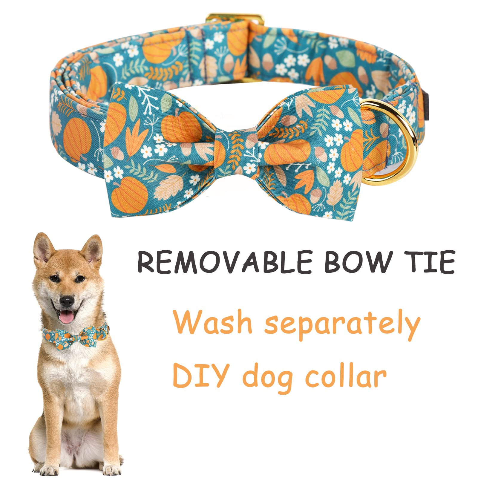 Halloween Bowtie Dog Collar with Metal Buckle for Girl or Boy, Pumpkin Pattern
