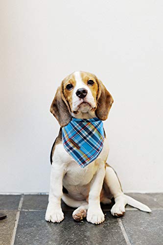 Blue Plaid Dog Bandana for Small Medium Large Male Dogs Gift
