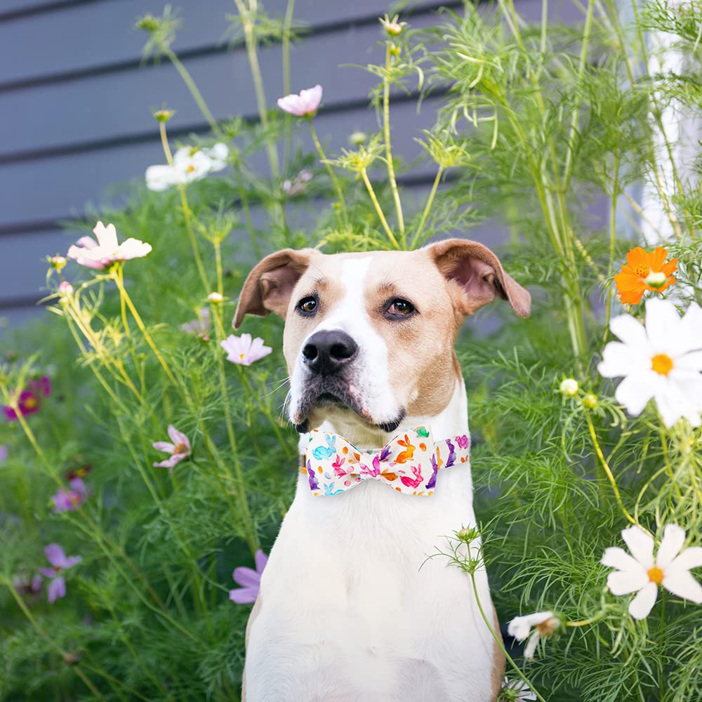 Easter Bowtie Dog Collar with Metal Buckle for Girl or Boy, Rabbit Pattern