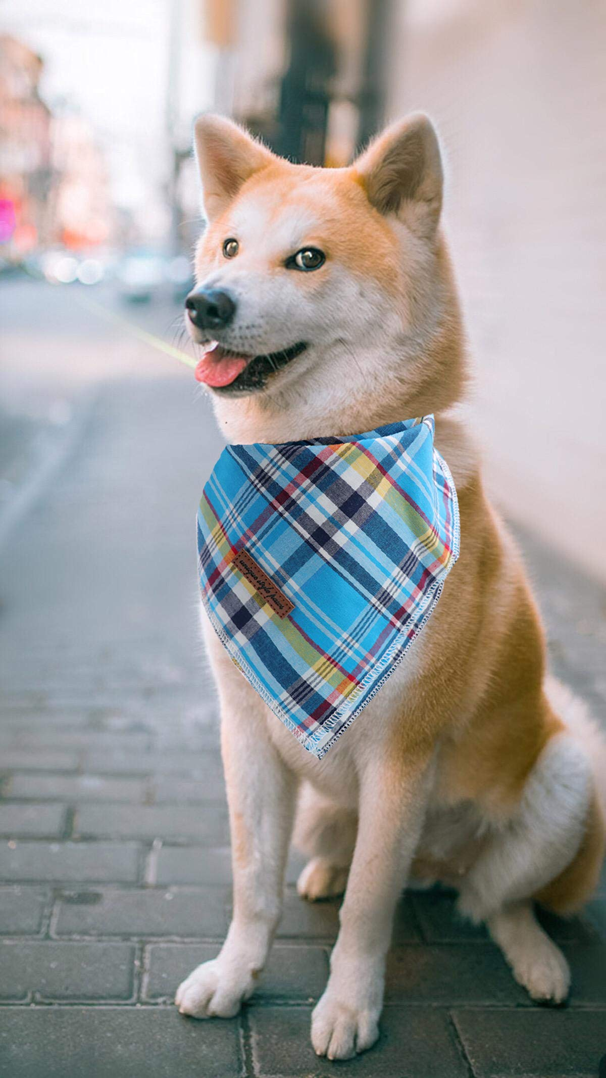 Blue Plaid Dog Bandana for Small Medium Large Male Dogs Gift