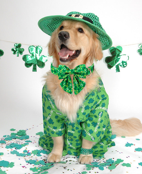 St Patrick's Day Dog Collar with Sailor Bow for Girl