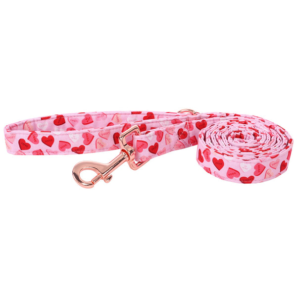 Valentine's Day Dog Leash for Small Medium Large Dog 的副本