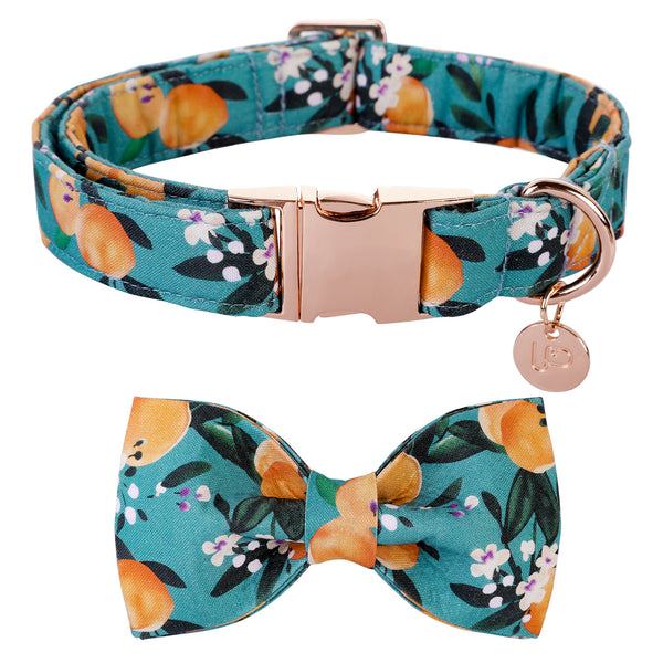 Peach Dog Collar with Bowtie for Male Female Dogs