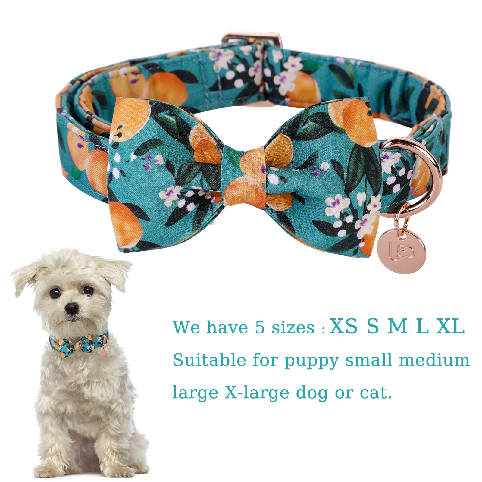 Peach Dog Collar with Bowtie for Male Female Dogs