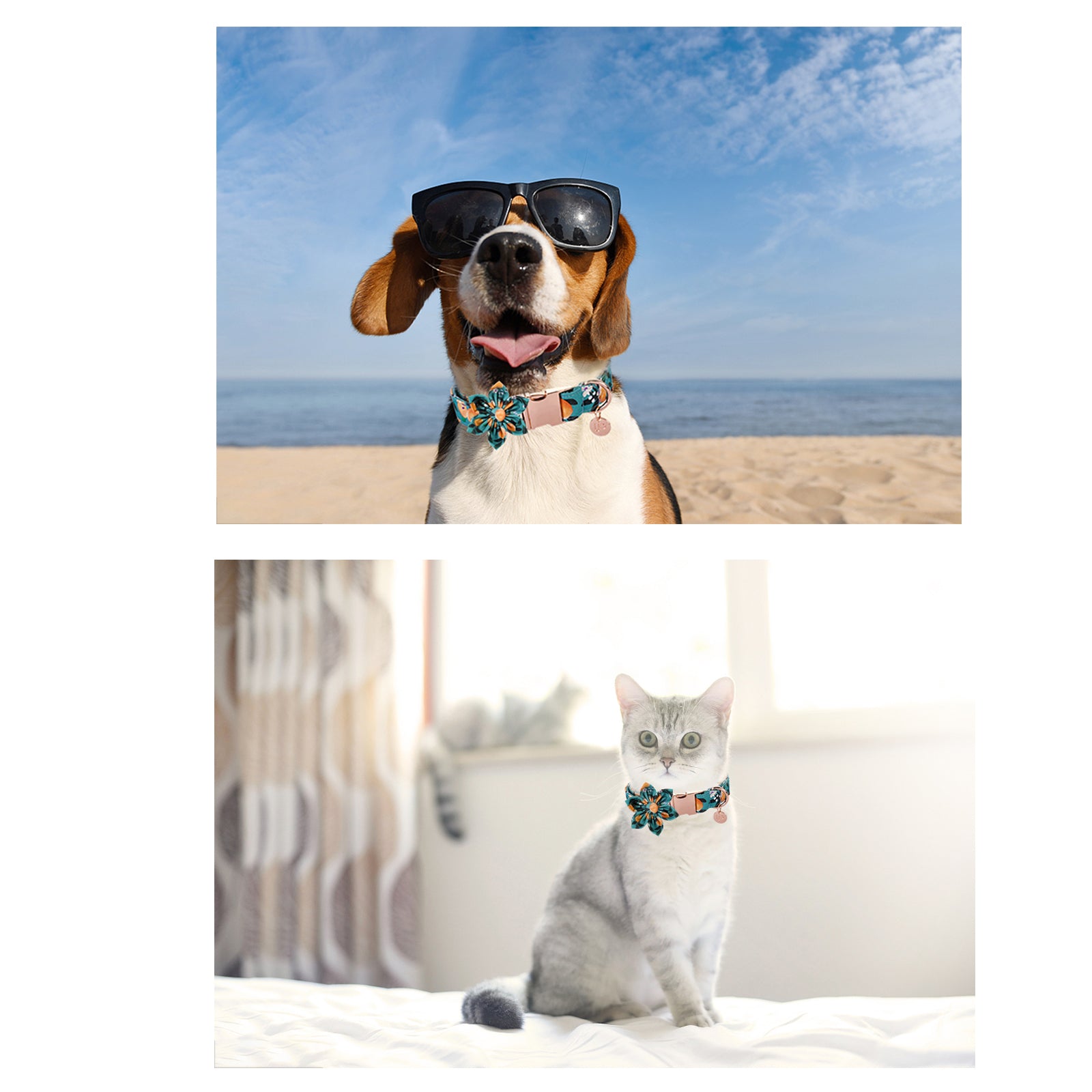 Peach Dog Collar with Flower for Female Dog