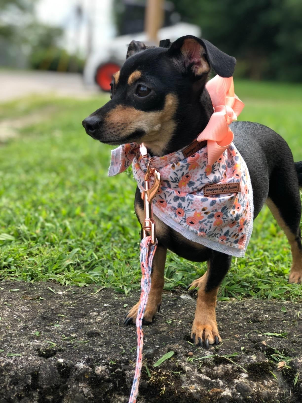 Pink Flower Dog Bandana for Small Medium Large Female Dogs Gift